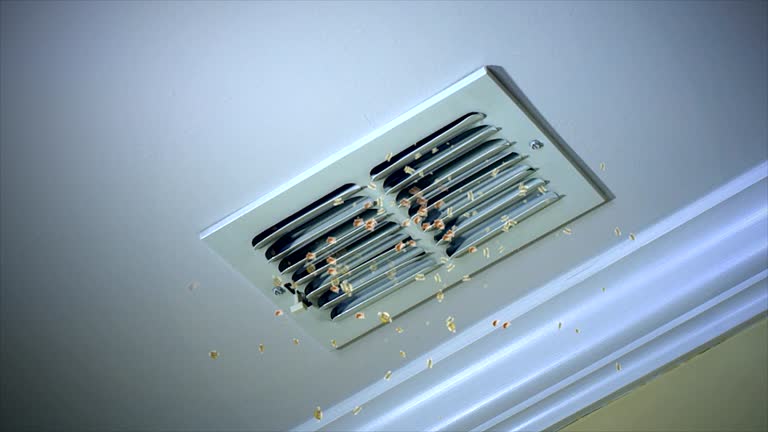 Best Affordable Air Duct Cleaning  in Plainfield, IL